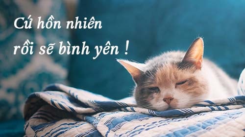 Đọc sách online free: Sống đơn giản cho mình thanh thản